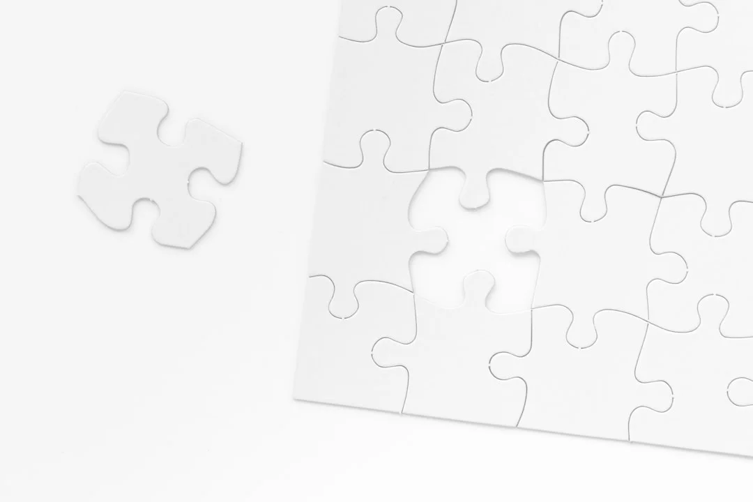 提前還款決策過程