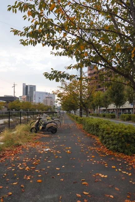 【2024年最新】機車貸款申請流程：7個步驟快速過件指南