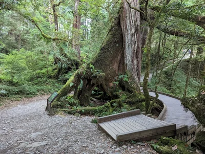 提前還款vs投資理財：你的錢應該用來還債還是投資？