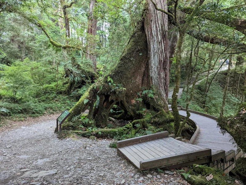 提前還款vs投資理財：你的錢應該用來還債還是投資？